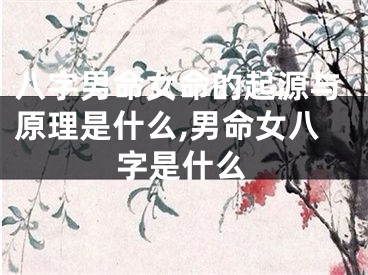 八字男命女命的起源与原理是什么,男命女八字是什么