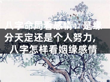 八字命局看感情：是缘分天定还是个人努力,八字怎样看姻缘感情