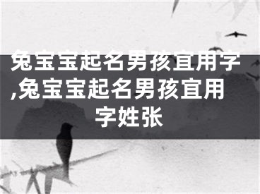 兔宝宝起名男孩宜用字,兔宝宝起名男孩宜用字姓张