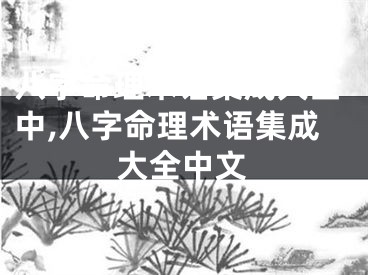 八字命理术语集成大全中,八字命理术语集成大全中文