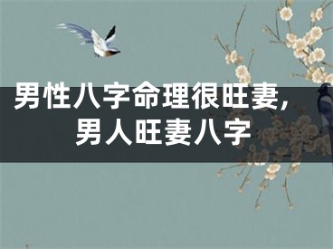 男性八字命理很旺妻,男人旺妻八字