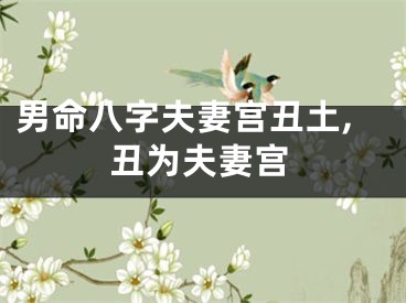 男命八字夫妻宫丑土,丑为夫妻宫