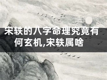 宋轶的八字命理究竟有何玄机,宋轶属啥