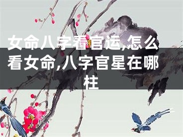 女命八字看官运,怎么看女命,八字官星在哪柱