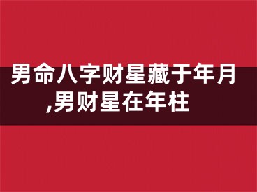 男命八字财星藏于年月,男财星在年柱