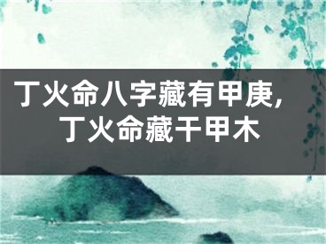 丁火命八字藏有甲庚,丁火命藏干甲木