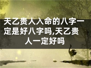 天乙贵人入命的八字一定是好八字吗,天乙贵人一定好吗