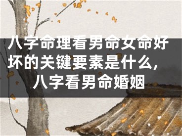 八字命理看男命女命好坏的关键要素是什么,八字看男命婚姻