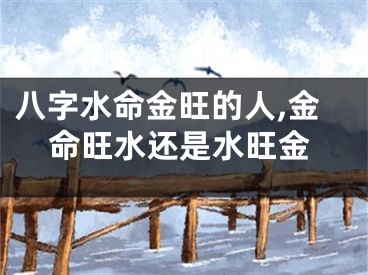 八字水命金旺的人,金命旺水还是水旺金