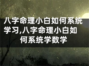八字命理小白如何系统学习,八字命理小白如何系统学数学