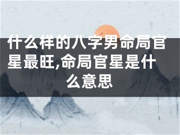 什么样的八字男命局官星最旺,命局官星是什么意思