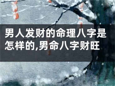 男人发财的命理八字是怎样的,男命八字财旺