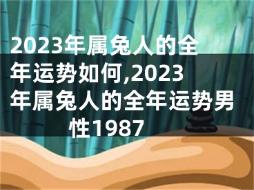 2023年属兔人的全年运势如何,2023年属兔人的全年运势男性1987