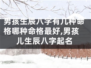 男孩生辰八字有几种命格哪种命格最好,男孩儿生辰八字起名