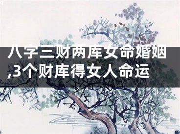 八字三财两库女命婚姻,3个财库得女人命运