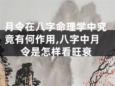 月令在八字命理学中究竟有何作用,八字中月令是怎样看旺衰