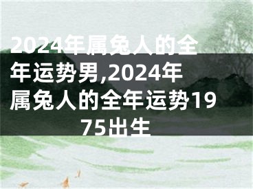 2024年属兔人的全年运势男,2024年属兔人的全年运势1975出生