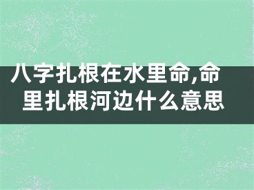 八字扎根在水里命,命里扎根河边什么意思