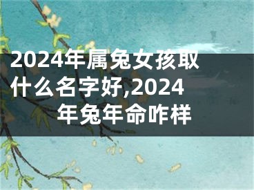 2024年属兔女孩取什么名字好,2024年兔年命咋样