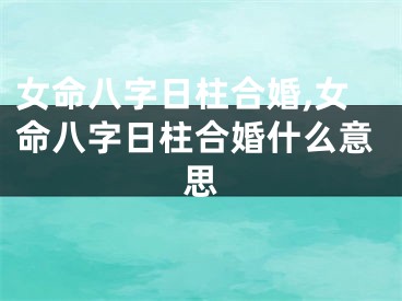 女命八字日柱合婚,女命八字日柱合婚什么意思