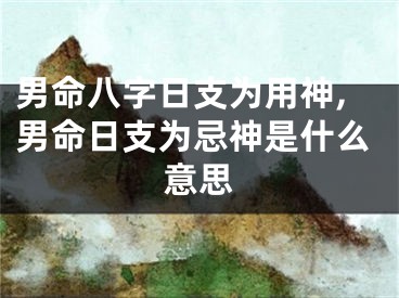 男命八字日支为用神,男命日支为忌神是什么意思