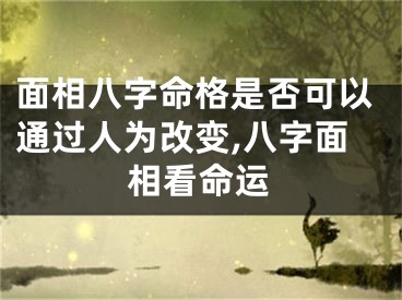面相八字命格是否可以通过人为改变,八字面相看命运