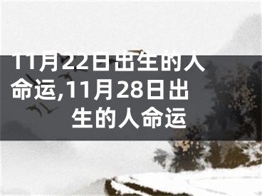 11月22日出生的人命运,11月28日出生的人命运