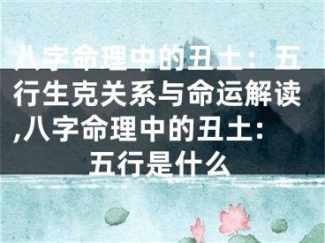 八字命理中的丑土：五行生克关系与命运解读,八字命理中的丑土:五行是什么