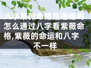 八字紫薇命格是迷信吗怎么通过八字看紫薇命格,紫薇的命运和八字不一样