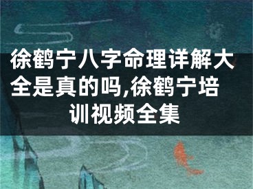徐鹤宁八字命理详解大全是真的吗,徐鹤宁培训视频全集