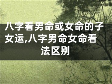 八字看男命或女命的子女运,八字男命女命看法区别