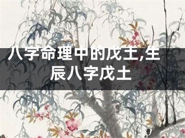 八字命理中的戊土,生辰八字戊土
