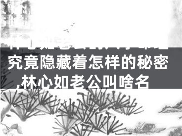 林心如老公的八字命理究竟隐藏着怎样的秘密,林心如老公叫啥名