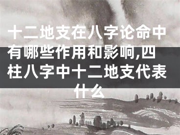 十二地支在八字论命中有哪些作用和影响,四柱八字中十二地支代表什么