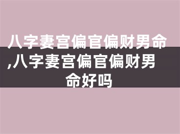 八字妻宫偏官偏财男命,八字妻宫偏官偏财男命好吗