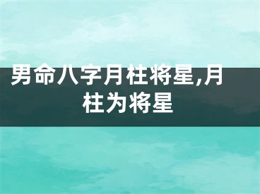 男命八字月柱将星,月柱为将星