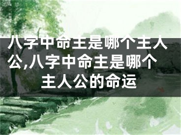 八字中命主是哪个主人公,八字中命主是哪个主人公的命运