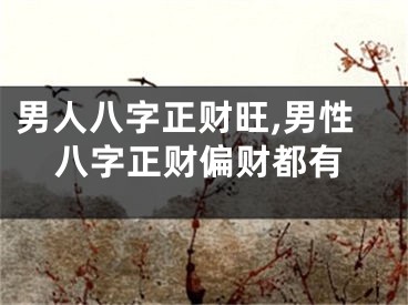 男人八字正财旺,男性八字正财偏财都有