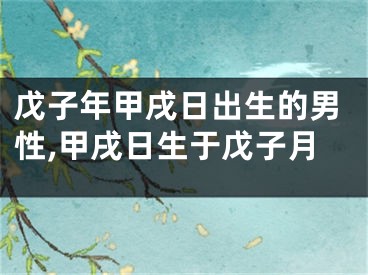 戊子年甲戌日出生的男性,甲戌日生于戊子月