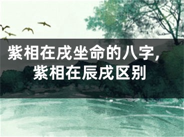 紫相在戌坐命的八字,紫相在辰戌区别