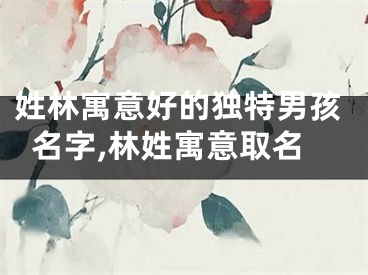 姓林寓意好的独特男孩名字,林姓寓意取名