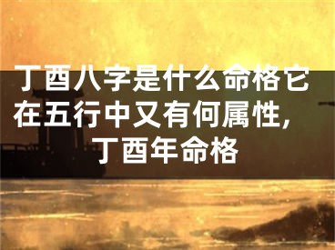 丁酉八字是什么命格它在五行中又有何属性,丁酉年命格