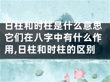 日柱和时柱是什么意思它们在八字中有什么作用,日柱和时柱的区别