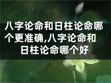 八字论命和日柱论命哪个更准确,八字论命和日柱论命哪个好