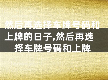 然后再选择车牌号码和上牌的日子,然后再选择车牌号码和上牌