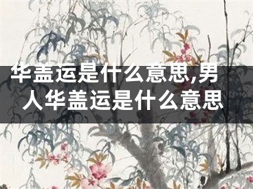 华盖运是什么意思,男人华盖运是什么意思