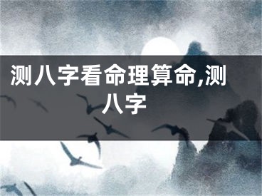 测八字看命理算命,测 八字