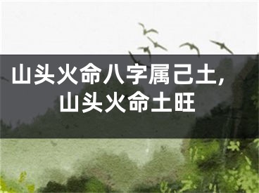 山头火命八字属己土,山头火命土旺