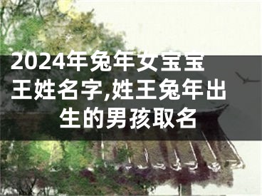 2024年兔年女宝宝王姓名字,姓王兔年出生的男孩取名