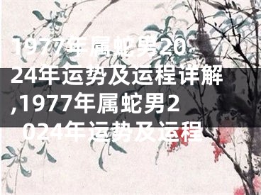 1977年属蛇男2024年运势及运程详解,1977年属蛇男2024年运势及运程